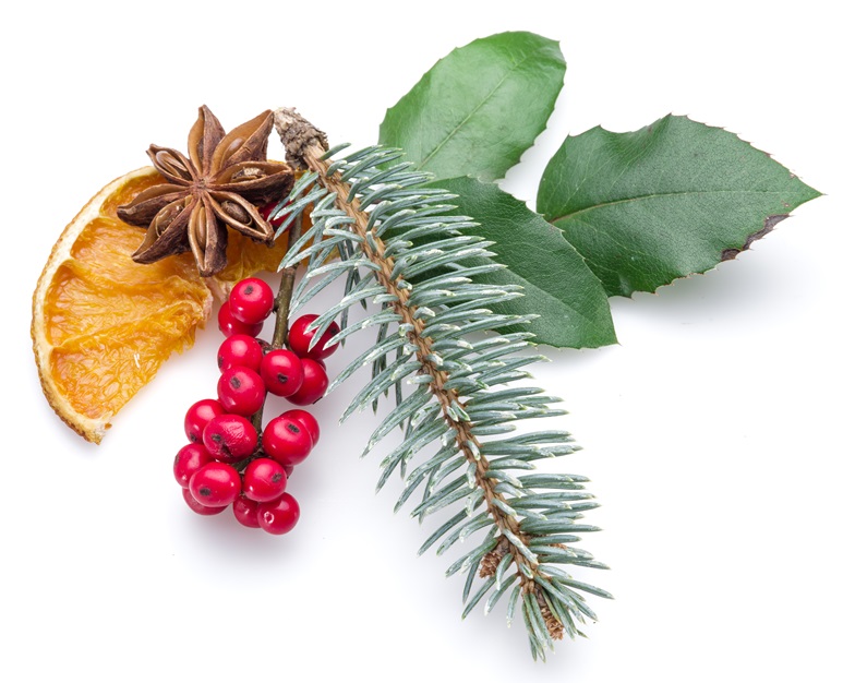 Wesołych Świąt i Szczęśliwego Nowego Roku